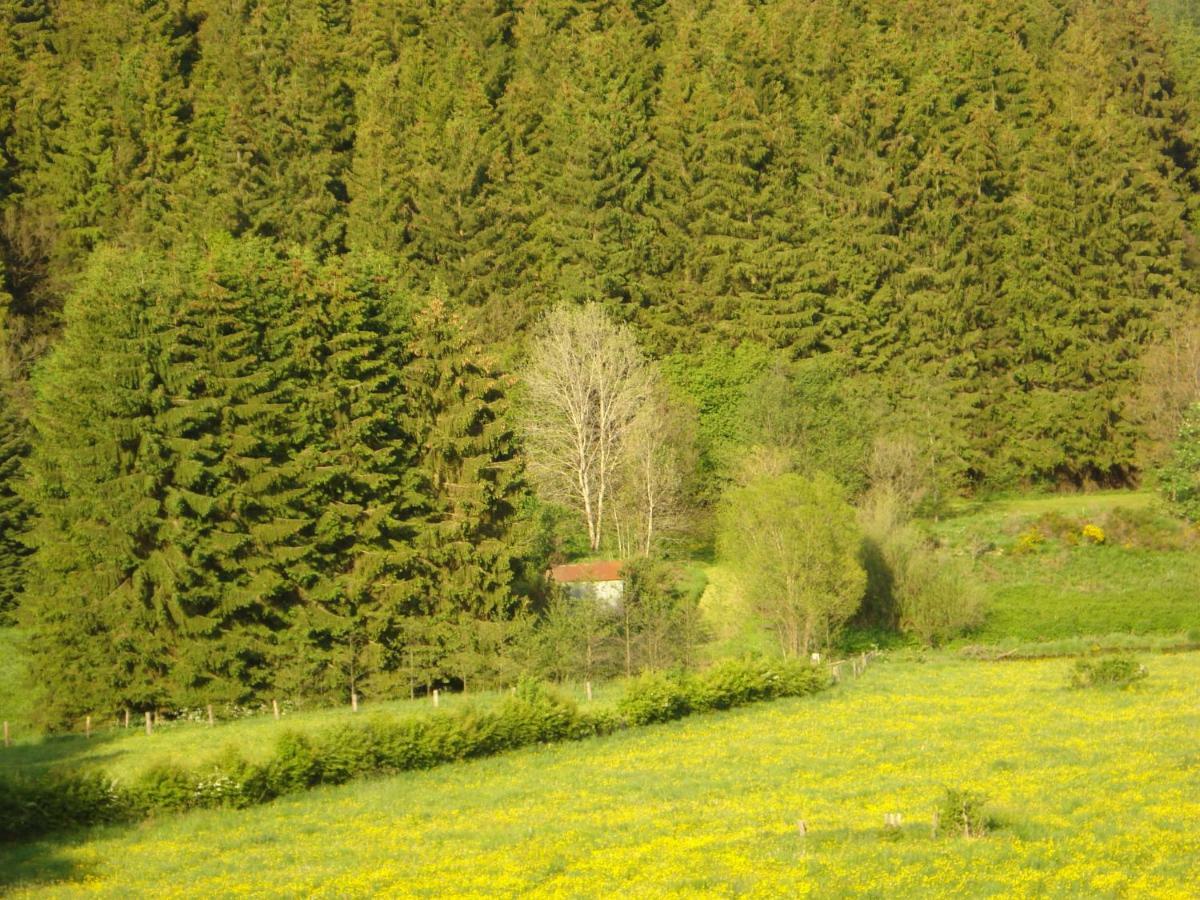 Location Panoramagreen ブルク・ロイラント エクステリア 写真