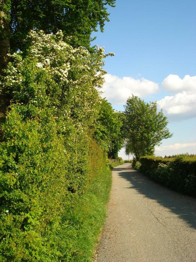 Location Panoramagreen ブルク・ロイラント エクステリア 写真